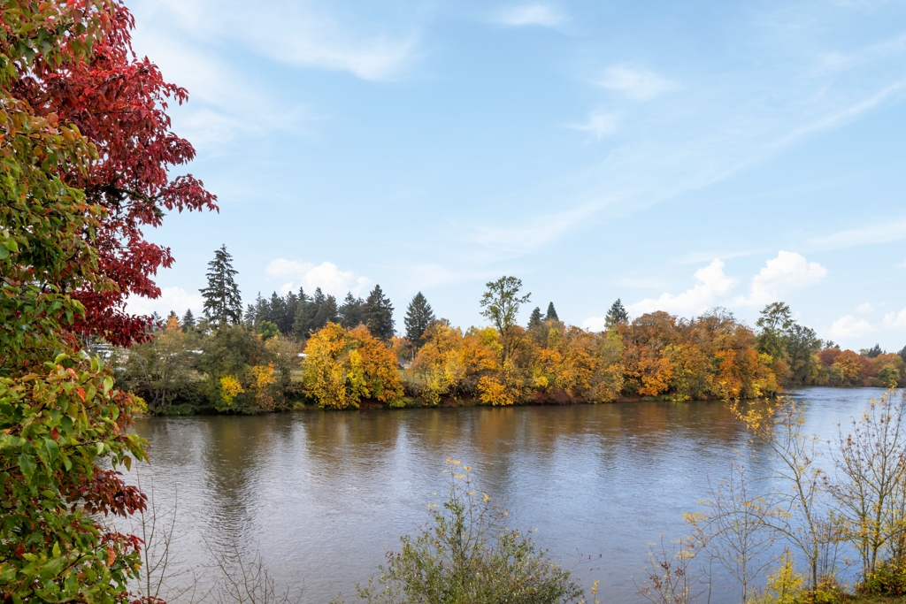 River-View-From-Room